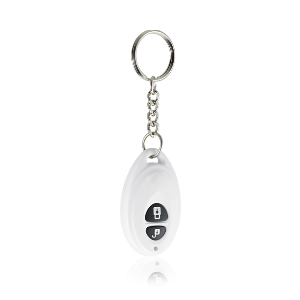 Keychain Remote