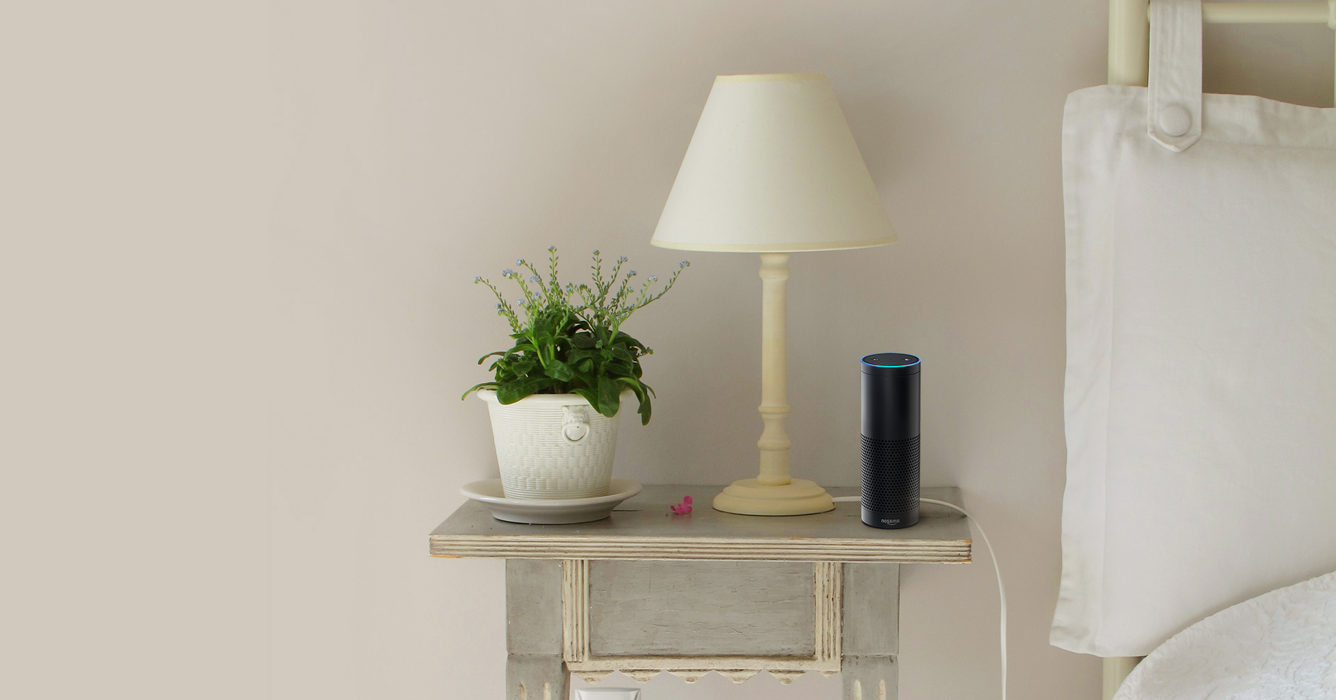 Amazon Echo blog - Lifestyle